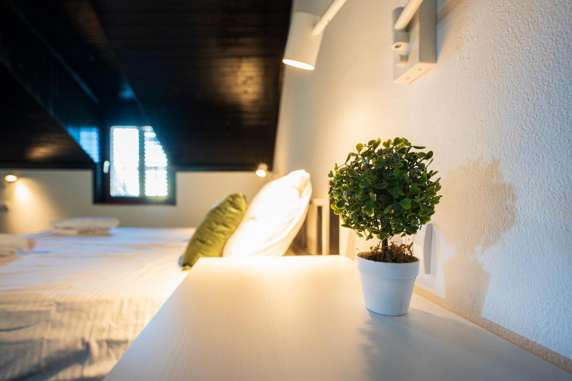 נובי סאד Cozy Nook B&B - Free Private Parking מראה חיצוני תמונה